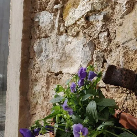 Porta 9 * Óbidos