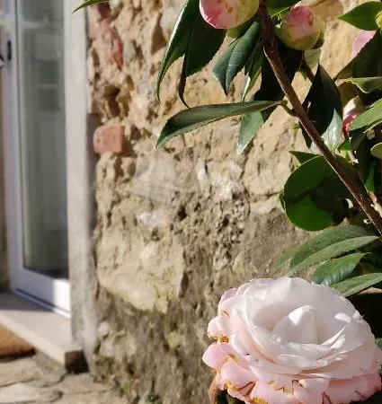 Porta 9 Casa vacanze